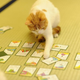 Illustration for article titled Cats Are the Cutest Guides to Japan
